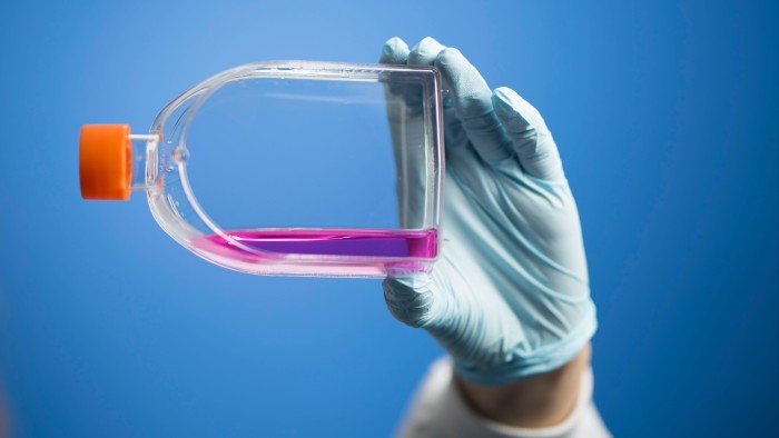 The strong grounds for optimism for the UK economy